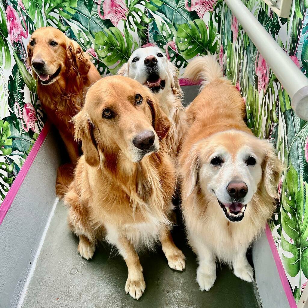 Weekend party crew is assembled