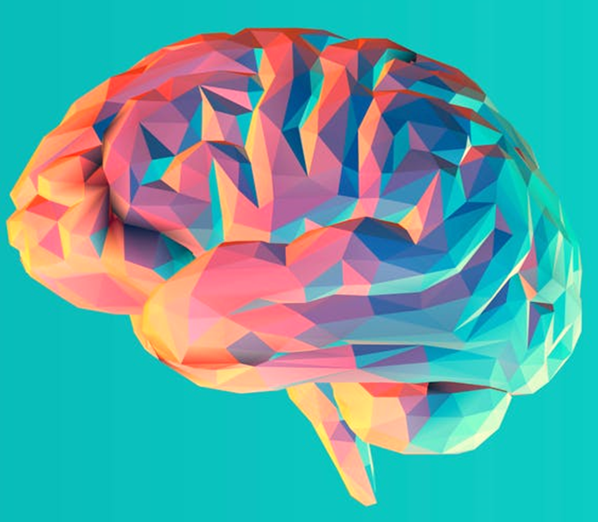 MaevaMichon's tweet photo. BUSCAMOS PARTICIPANTES para nuestra investigación en neurociencia cognitiva con resonancia magnética funcional en la @Clinicaalemana de La Dehesa, Santiago.
Inscríbete en el siguiente link y nos pondremos en contacto contigo:
https://t.co/t8yRbeqPsT

@LaNCE_NeuroUC https://t.co/7zEfebGZ9v