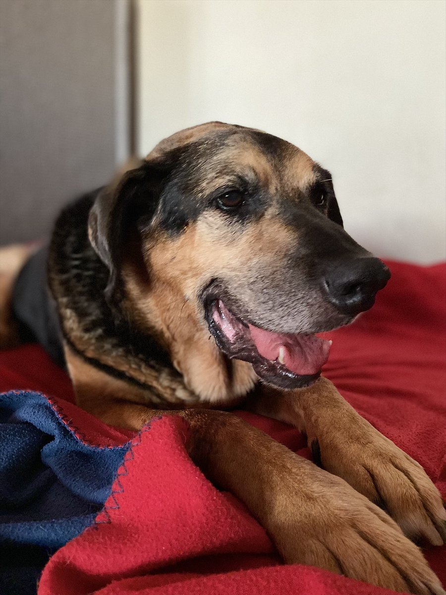 Andrzej z EU 🇪🇺🇵🇱🇺🇦🇮🇱 tweet media