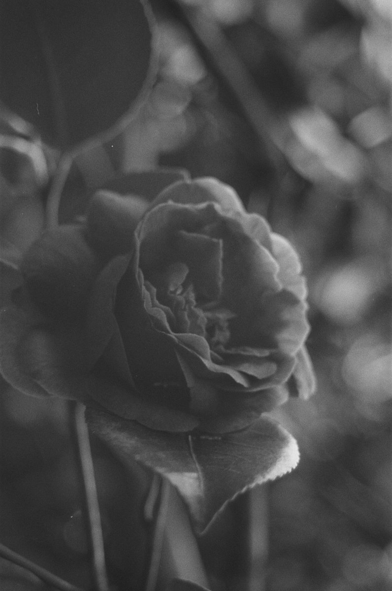 Contract with DigitalOcean coming to a close soon. Need to move Bots to new host

What do?