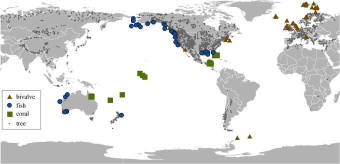 RSocPublishing's tweet image. This #BiologyLetters review discusses how dating using the calcified structures of bivalves, fish and corals could provide insight into ocean-atmosphere interactions. Read more ow.ly/vwfy30nqW8K #palaeoceanography #dendrochronology #IBSVancouver2022