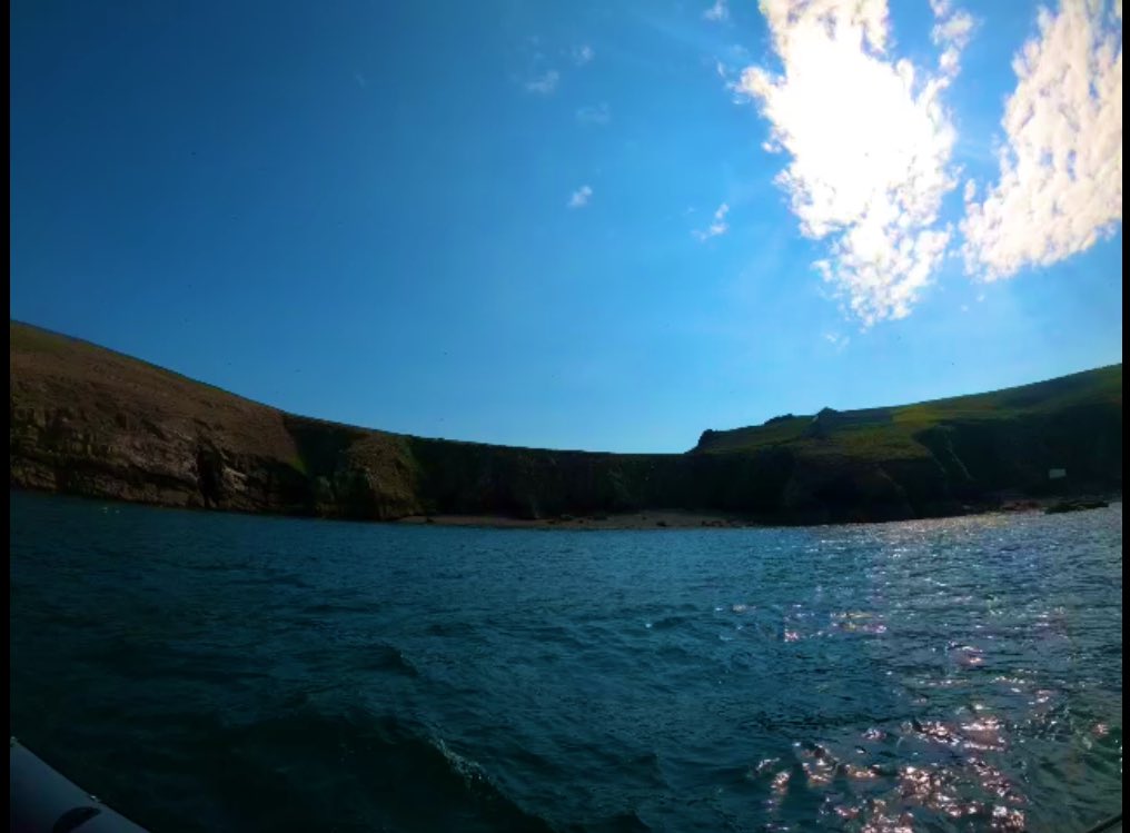 DrElizabethMac1's tweet photo. We had the most magical @Falcon_Boats trip this afternoon to @skomer_island and @RSPBRamsey. We saw #puffins #pufflings #seals #guillemots & #kittewakes. #Puffin adoration & chatter continued until bedtime & we read this beautiful @drewbphoto @graffeg_books guide book #30DaysWild https://t.co/xCbApDO1BX