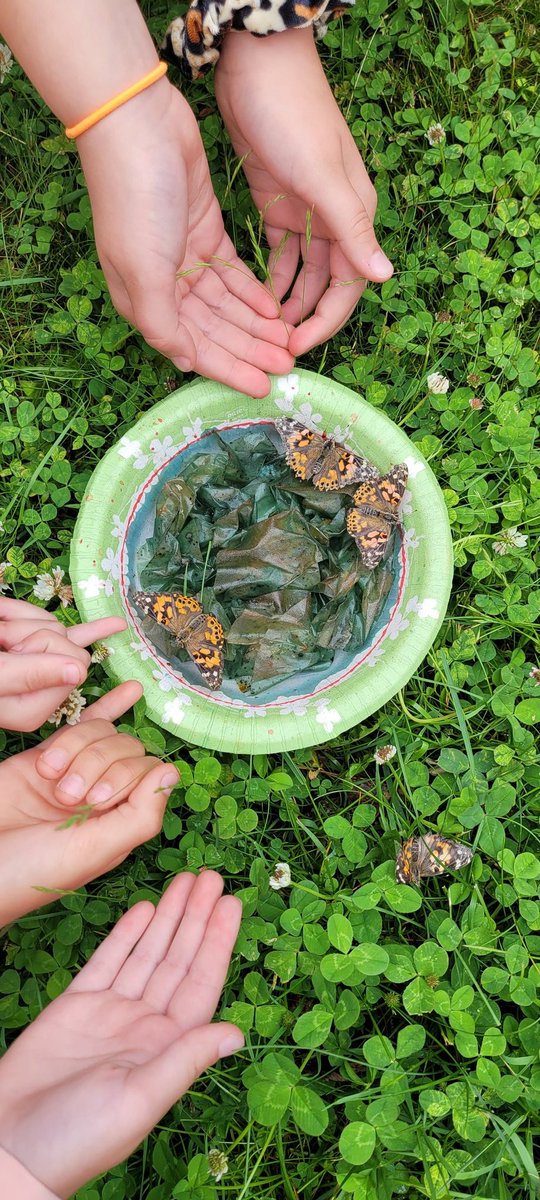 2nd Grade at MT tweet media