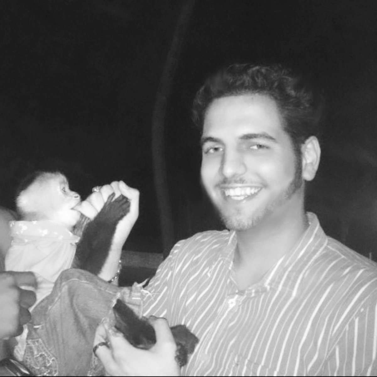 IvanPizzoni's tweet photo. 😁🐒 https://t.co/CwgTiVueVT