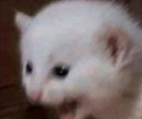 SetanNightShade's tweet photo. Yo después de ver el capítulo 7 de Stranger Things 4 y entender toda la trama de la temporada https://t.co/yJMvTnQ7gQ