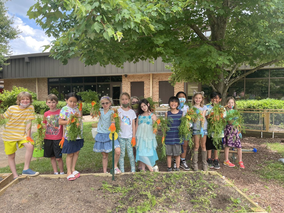 ThompsonFWES's tweet photo. Harvesting 🥕 🥕 🥕 in the @FWESIBPYP garden! #FWESSpotlightsLearning https://t.co/9wRrwtfZpe
