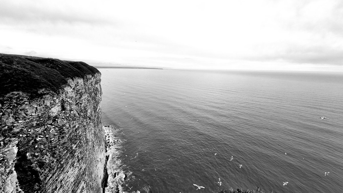 Paul Robertson tweet media