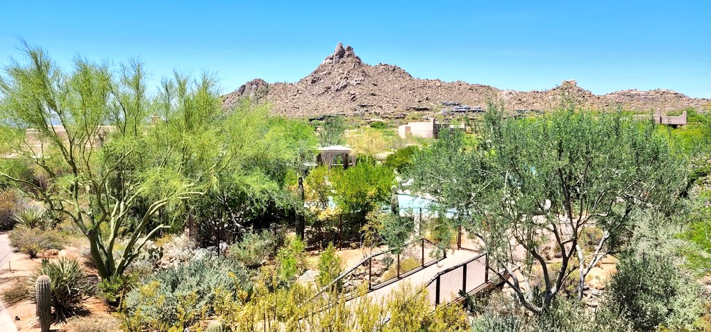Vegastechhead's tweet photo. Hello, #Scottsdale!
#Arizona #FourSeasons #WeekendVacay #tranquility https://t.co/Ucezqlqkpb