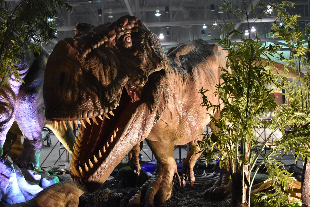 MayoCivicCenter's tweet photo. JUST ANNOUNCED: @Jurassic_quest is roaring into #RochMN! Jurassic Quest is the world’s largest, most popular dino event with unique and exciting experiences for the whole family. Get your tickets before they go extinct! https://t.co/9e6A1P7PHn #jurassicquest #ReadySetQuest https://t.co/7EPBz7RxwP