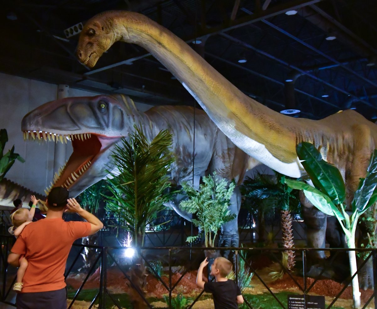 MayoCivicCenter's tweet photo. JUST ANNOUNCED: @Jurassic_quest is roaring into #RochMN! Jurassic Quest is the world’s largest, most popular dino event with unique and exciting experiences for the whole family. Get your tickets before they go extinct! https://t.co/9e6A1P7PHn #jurassicquest #ReadySetQuest https://t.co/7EPBz7RxwP