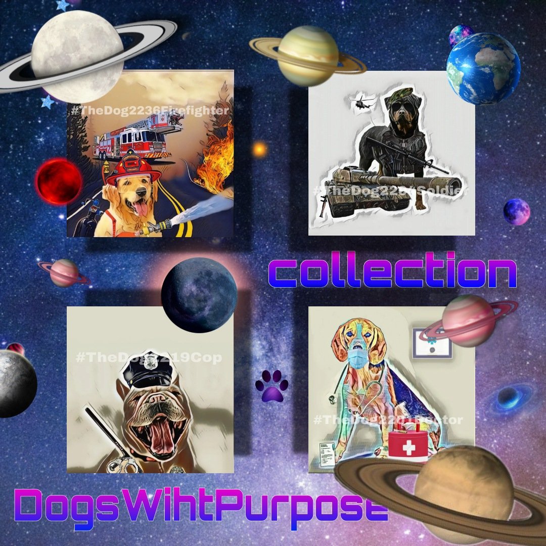 nameusser997's tweet photo. @lofi_dreamz @Dog_WithPurpose https://t.co/soU748ScJi