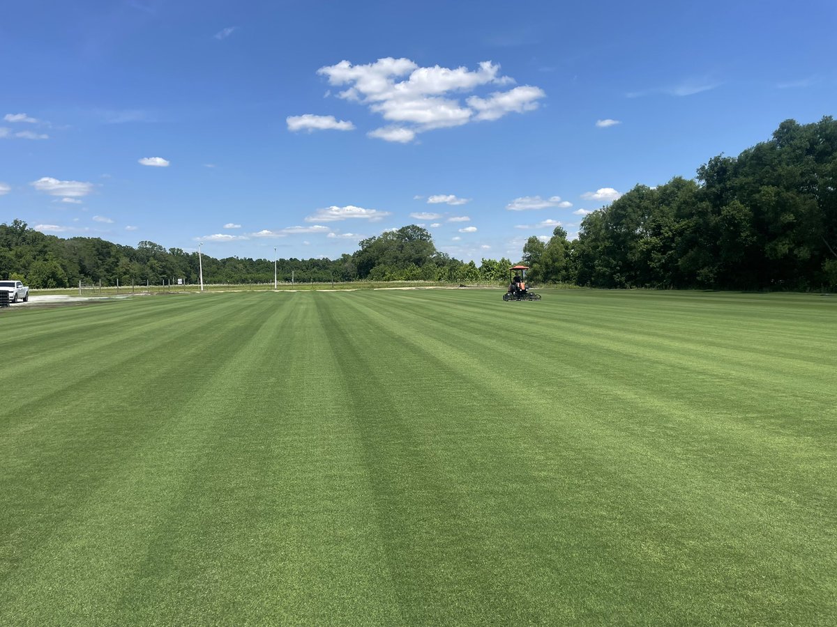 3rd week on full <a href="/SimplotTurf/">Simplot Turf & Horticulture</a> performance pak has Winstead Turf Sand based Matrix fields glowing.  #bbb <a href="/Tahoma31Bermuda/">Tahoma 31</a> Yes, reels are off a little.  <a href="/scottmsstate/">Scott Newman</a>