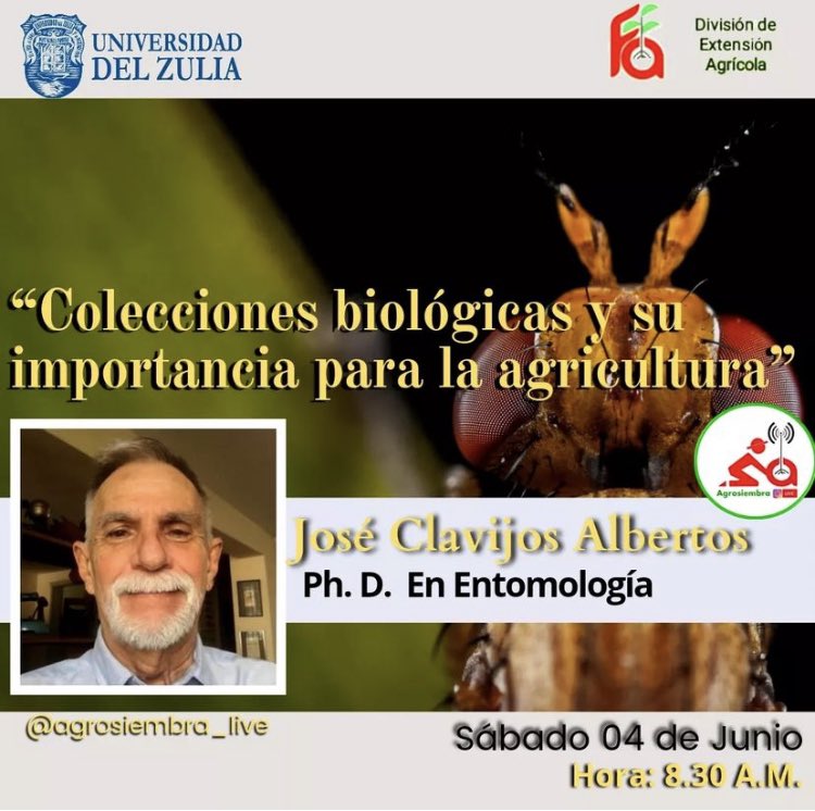 MIZAUCV's tweet photo. Este sábado 04/06/2022, 8:30am estaremos en AgroSiembra Live por Instagram @agrosiembra_live  conversando con Licda. Carola García sobre “Las  Colecciones Biológicas y su importancia para la agricultura”.  
Gracias AgroSiembra por esta oportunidad. 
¡Bienvenidos! 
Equipo MIZA. https://t.co/TjcJDR0xwt