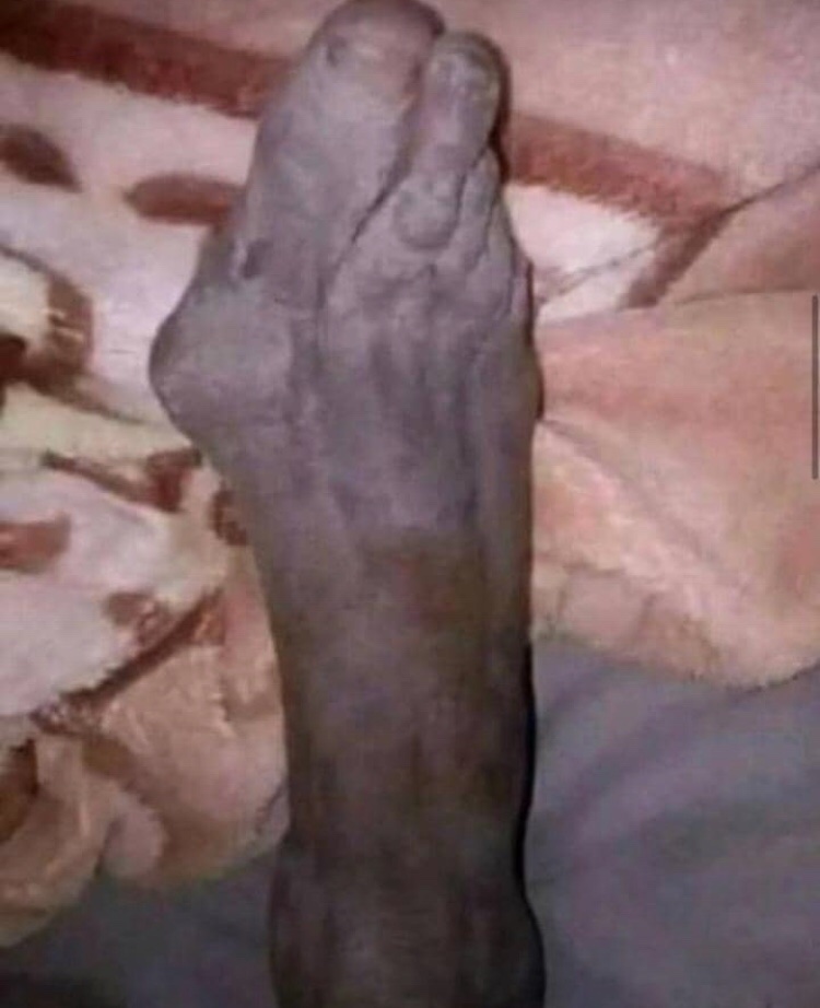 loot_baeb's tweet photo. Izvi haupihwe USD🤣🤣😂 https://t.co/C0tUYFRjPC