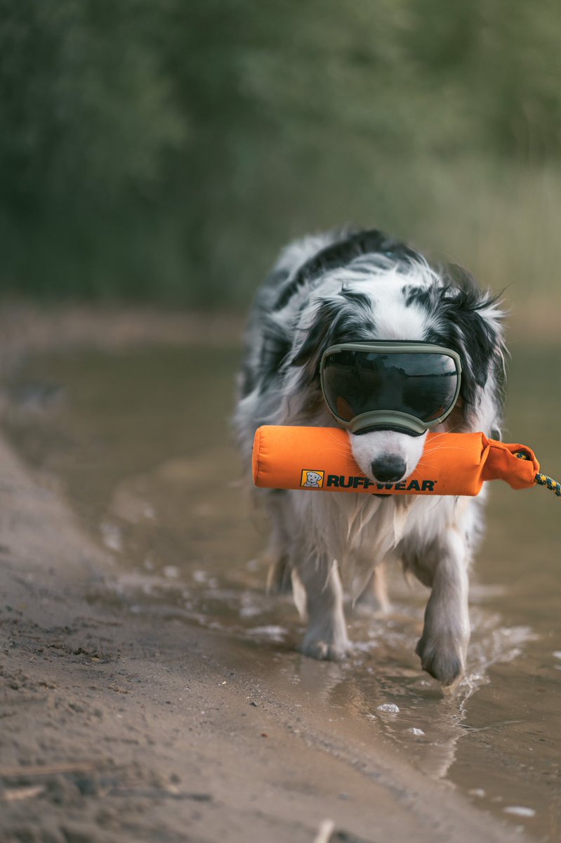 Aussiekko tweet media