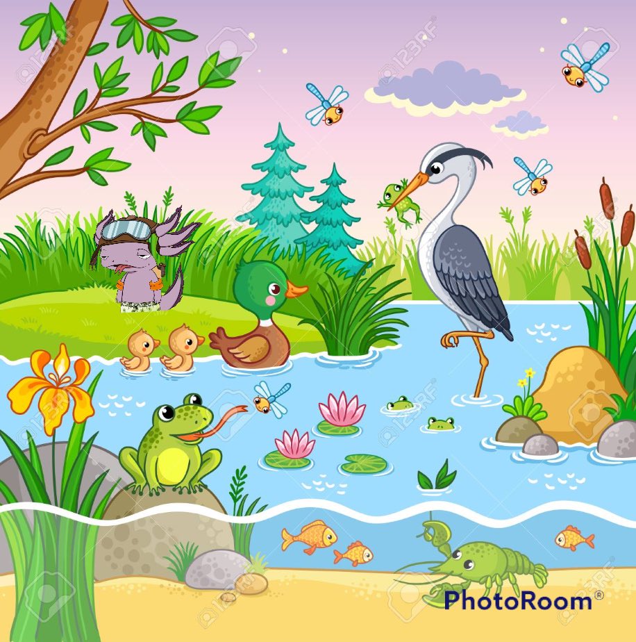 #SavetheAxolox <a href="/AxoloxNFT/">AxoloX | MINTING NOW</a> <a href="/danfuentes_/">Dan Fuentes</a>  aprovechando,  encuéntrame! #Mexico #NFTs #NFT