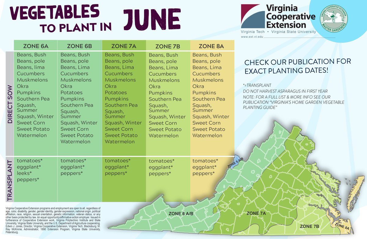 Virginia Cooperative Extension tweet media