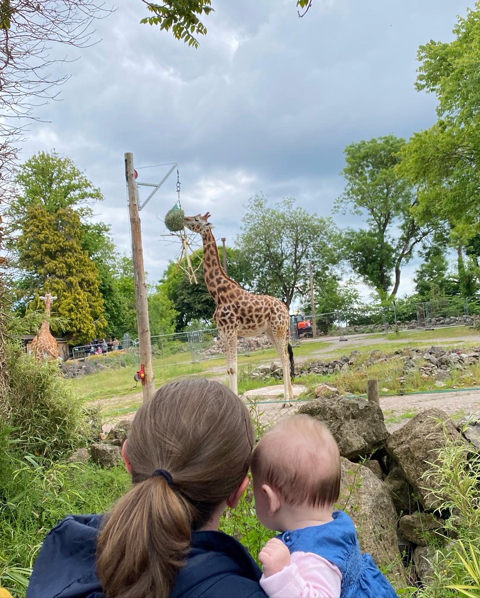 mattjw10's tweet photo. First family trip away 💜 https://t.co/ccM19N1GFi