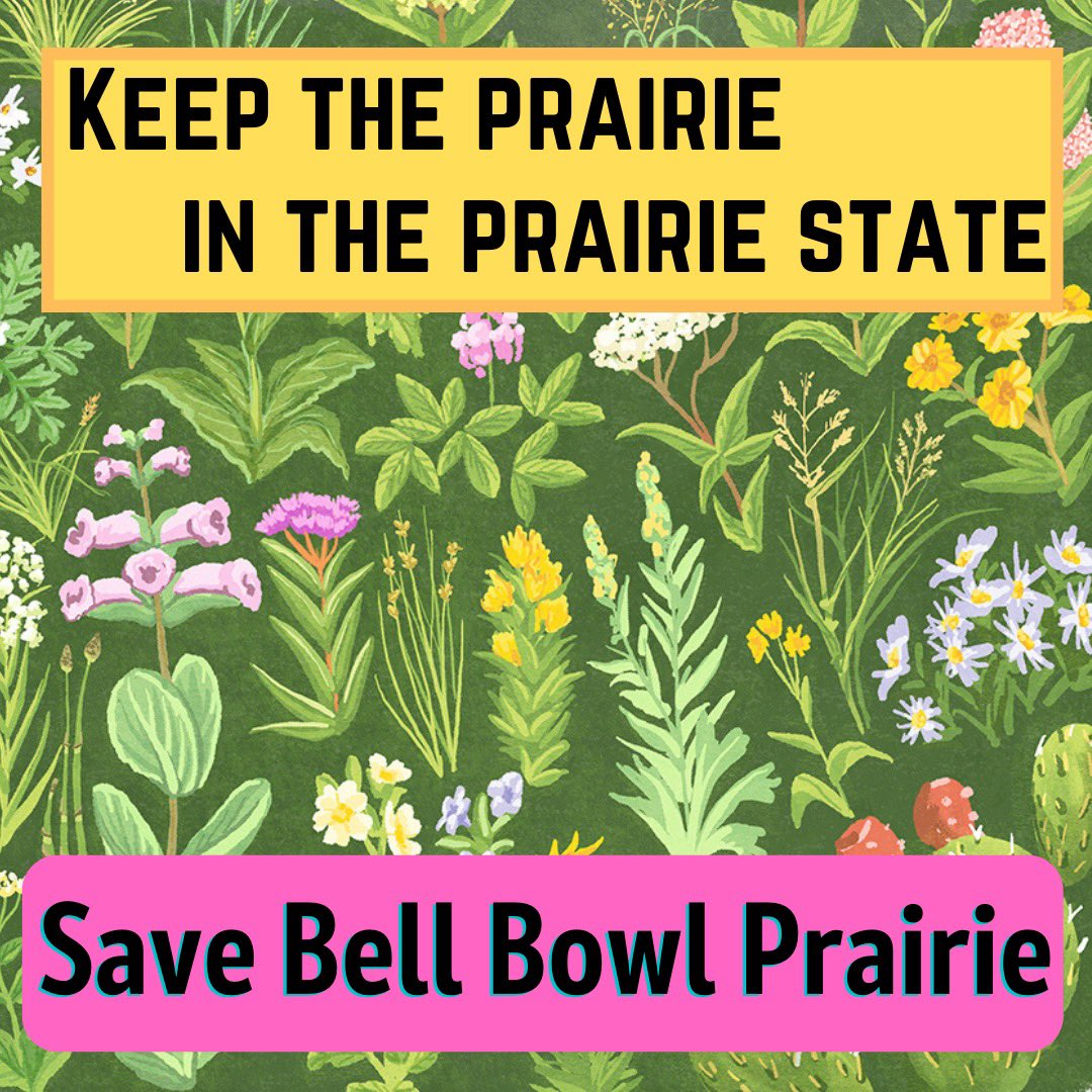 Laura Stamp tweet media