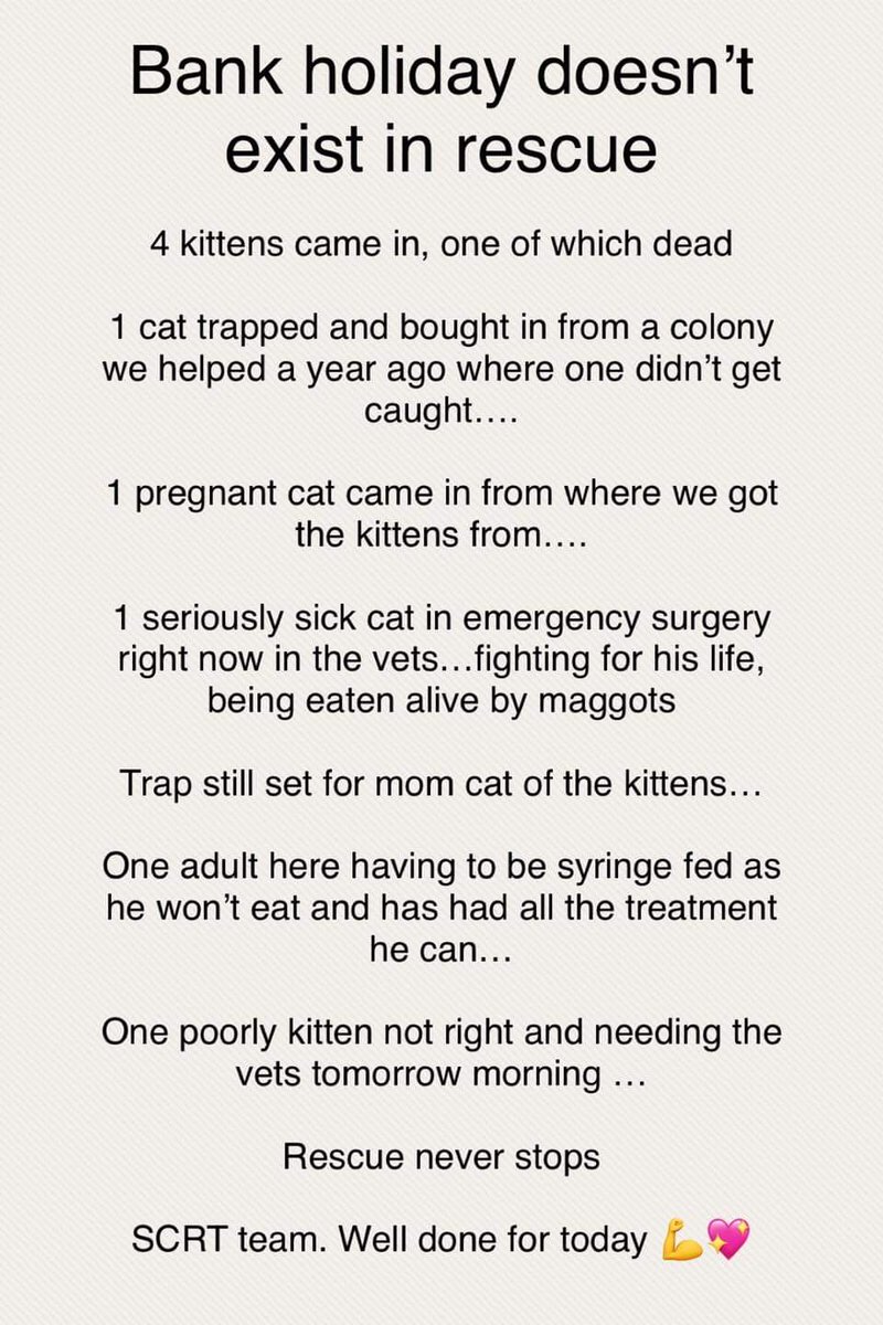 Thank you to everyone who has donated today. We are done for 💔🚨💔

All of this, and no space 💔😭