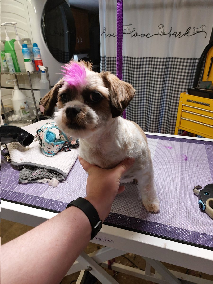 She's going through her rebellious phase.