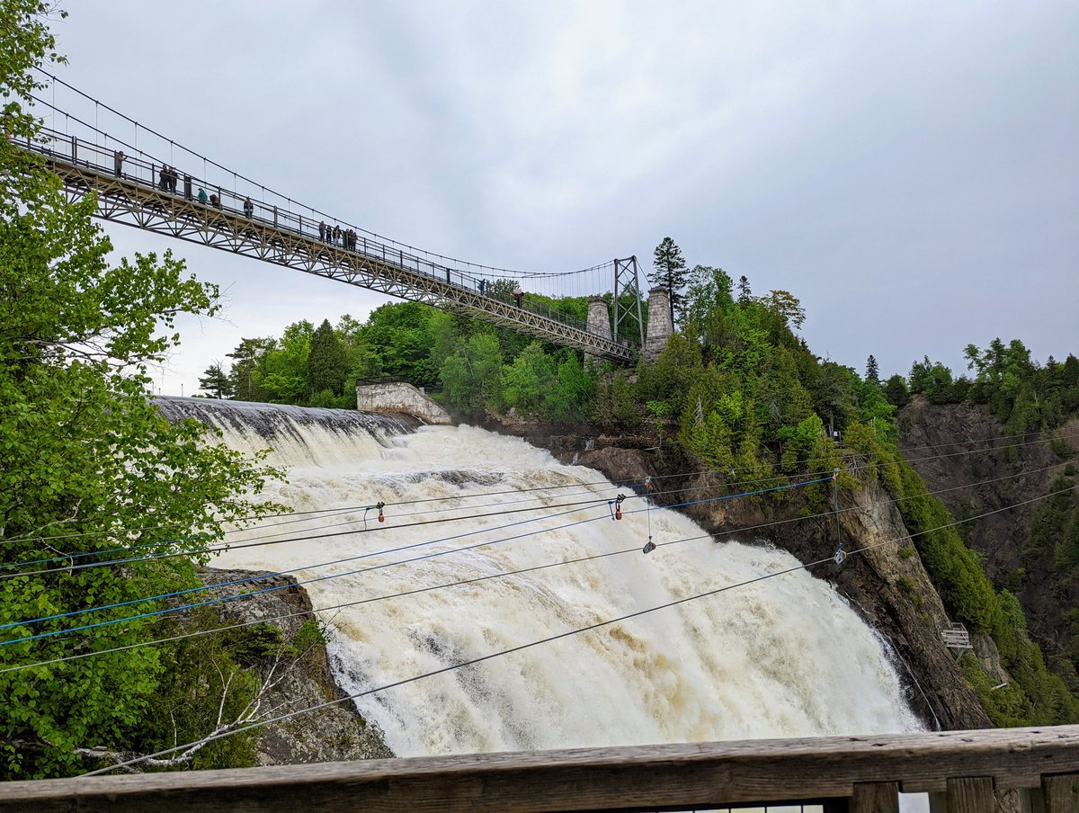 Christine Carr tweet media