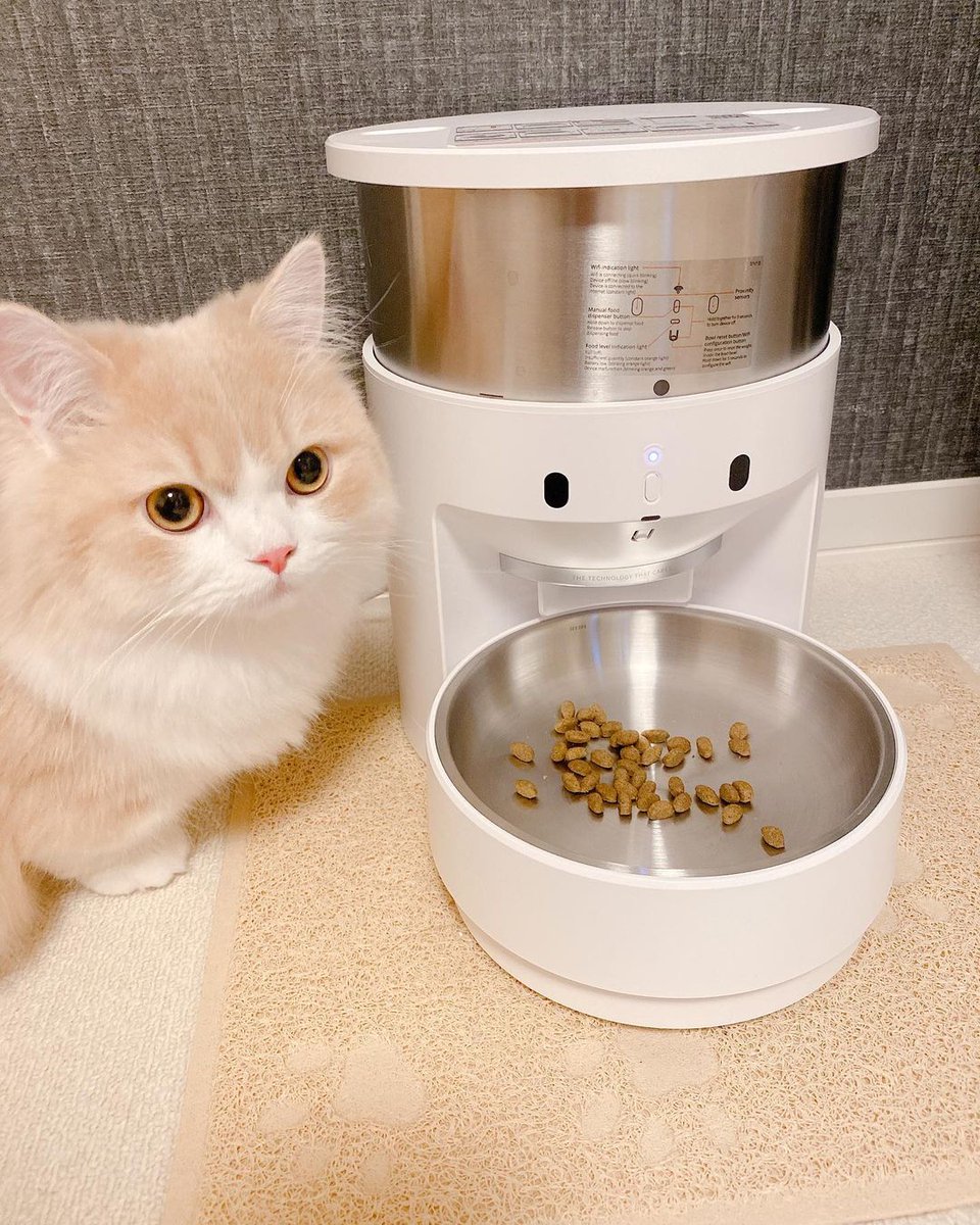 petkitaccount's tweet photo. Feed on time, never miss a meal.✨ Fresh Element Infinity: https://t.co/dQUjHKkajD

📷: @mil_k0607
#petkit #petsupply #autofeeder https://t.co/DSKTro8g4Z