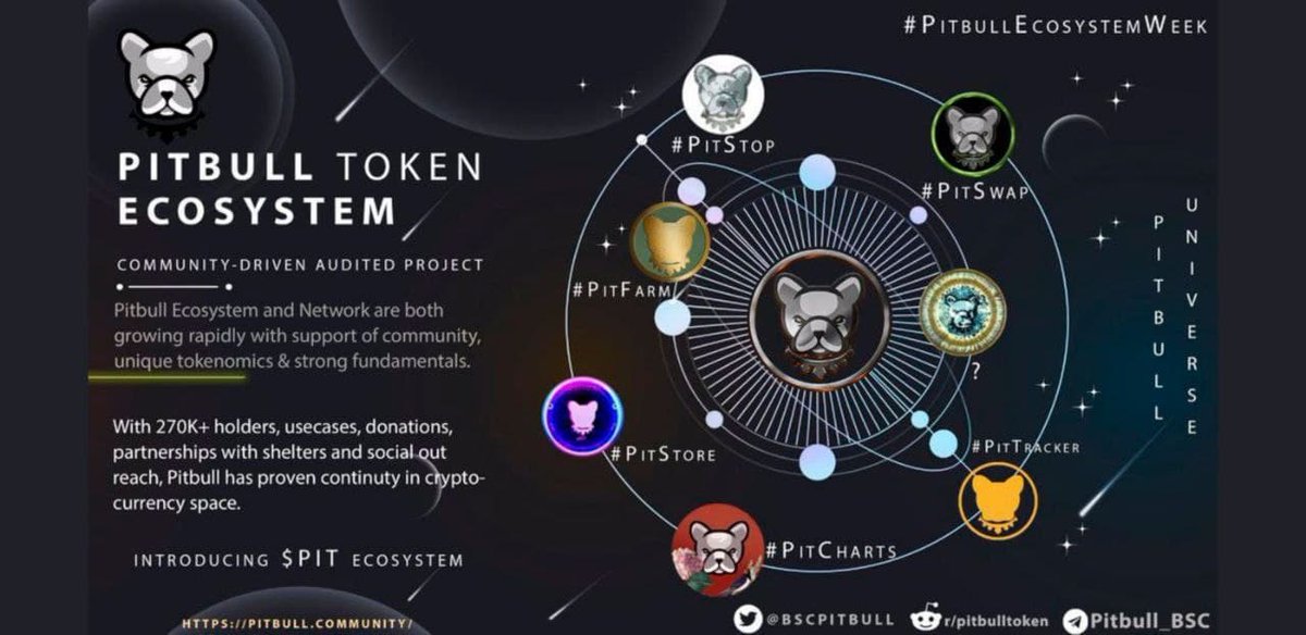 Tazzven's tweet photo. @Gary_BKEX #pitbulltoken @BscPitbull https://t.co/cBKNpaxlMZ