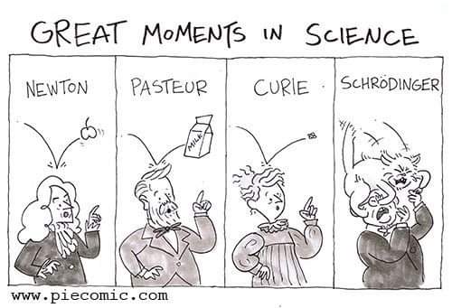 Wait for it ... 🐈
📷 piecomic.com

#themiddleschoolscienceteacher #middleschoolscienceteacher #middleschoolscience #scienceteachers #scienceeducation #Science