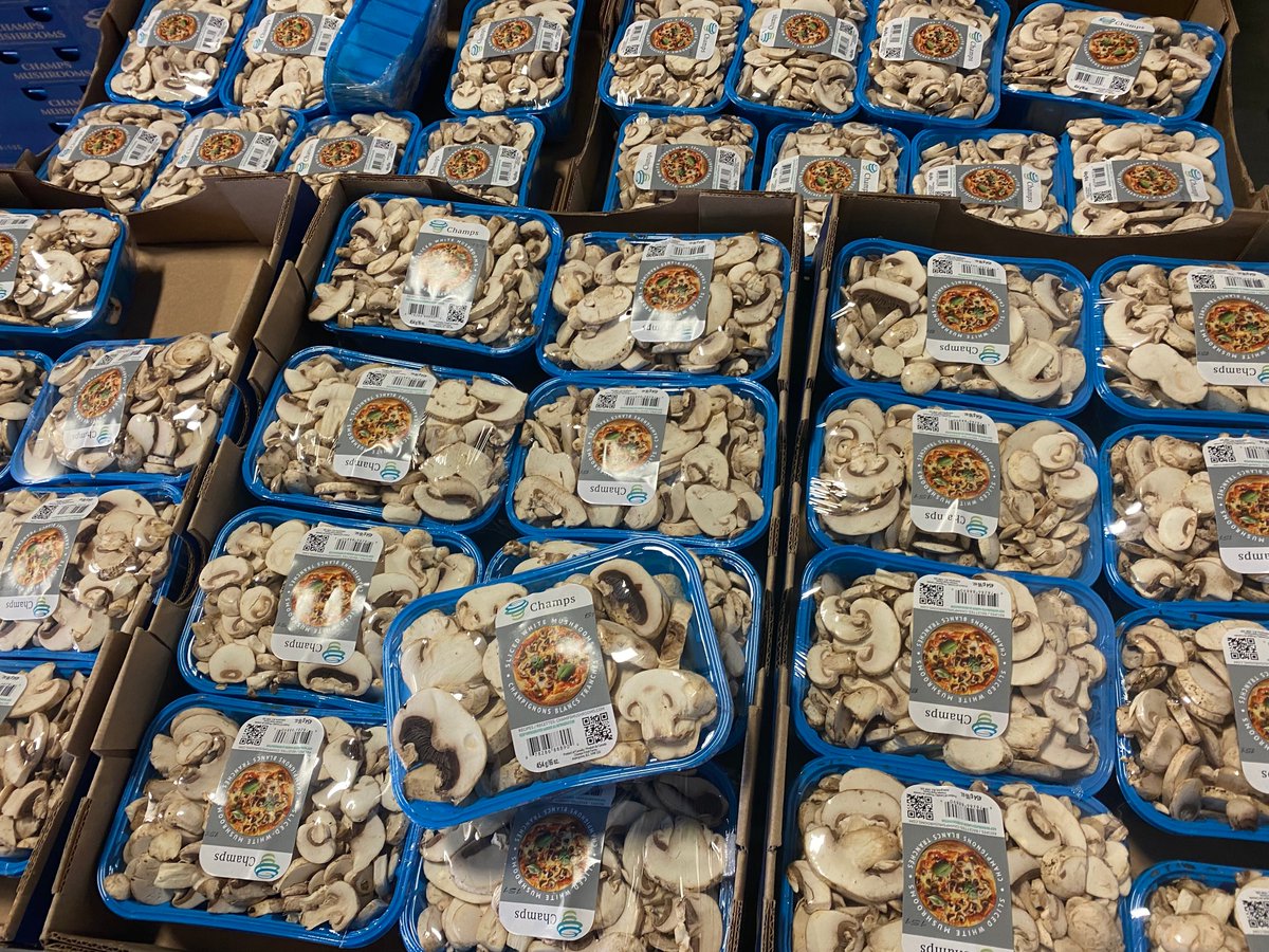 We just recover 8 PALLETS of perfect white mushrooms! We are going to need some good mushroom recipes...
