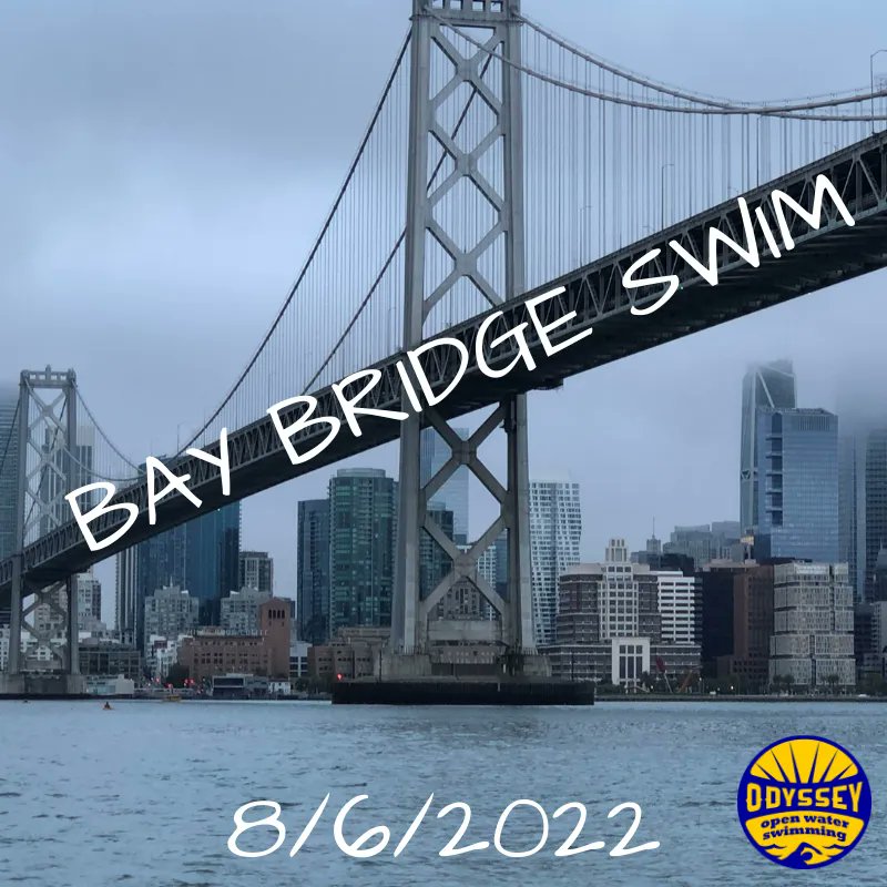 Odyssey Open Water Swimming on Twitter "The Odyssey Bay Bridge Swim is