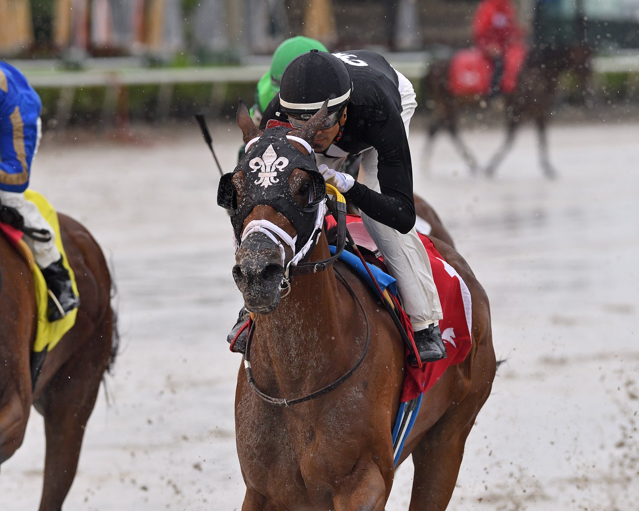 Gulfstream Park Scratches Today - 2sdk4sb