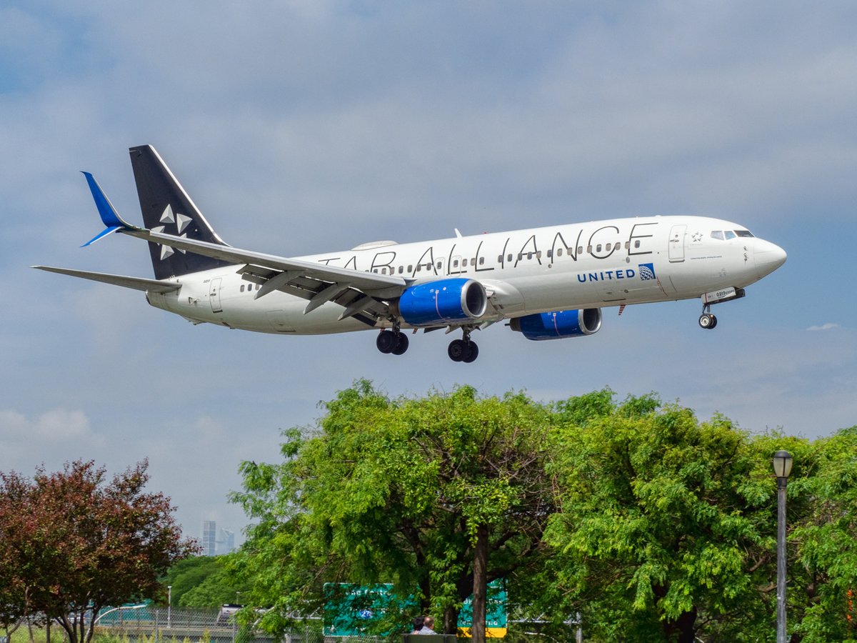 @united 737-800 in the SA livery on final to @LGAairport rwy 4

#aviationphotography #planepics #spotjfk #spotlga