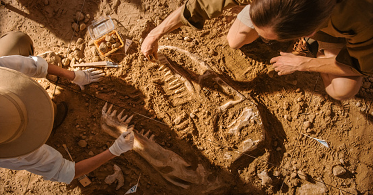 In 2020, osteosarcoma was found in a 77-million-year-old dinosaur specimen, making it the earliest identified hominin cancer. OSI won’t stop until there is a cure. Learn what this dinosaur discovery means for osteosarcoma treatment: osinst.org/osteosarcoma-d…