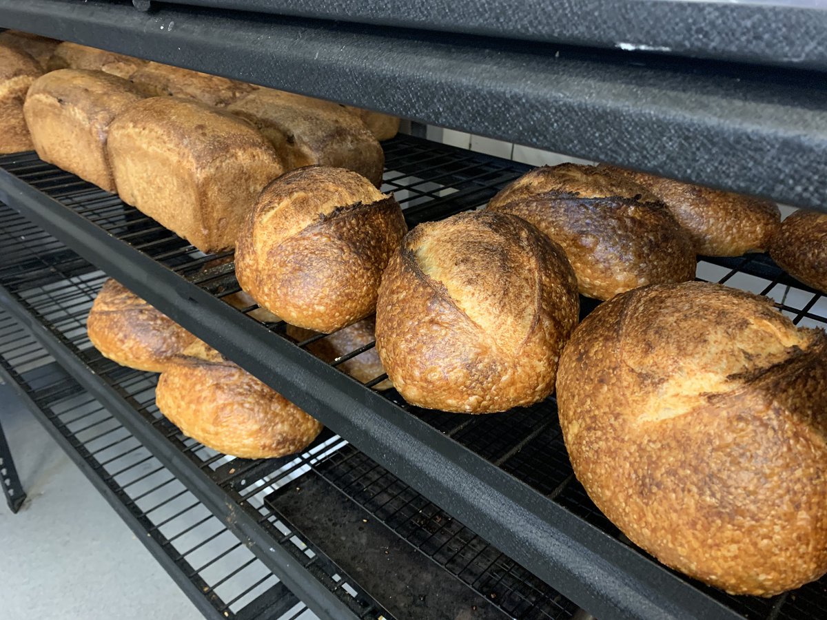 DoigKeith's tweet image. And here they are!