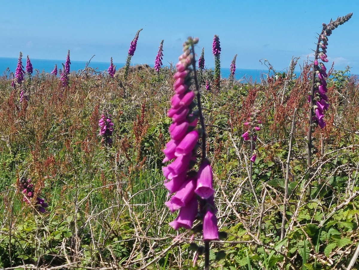 Phil 🇺🇦 tweet media