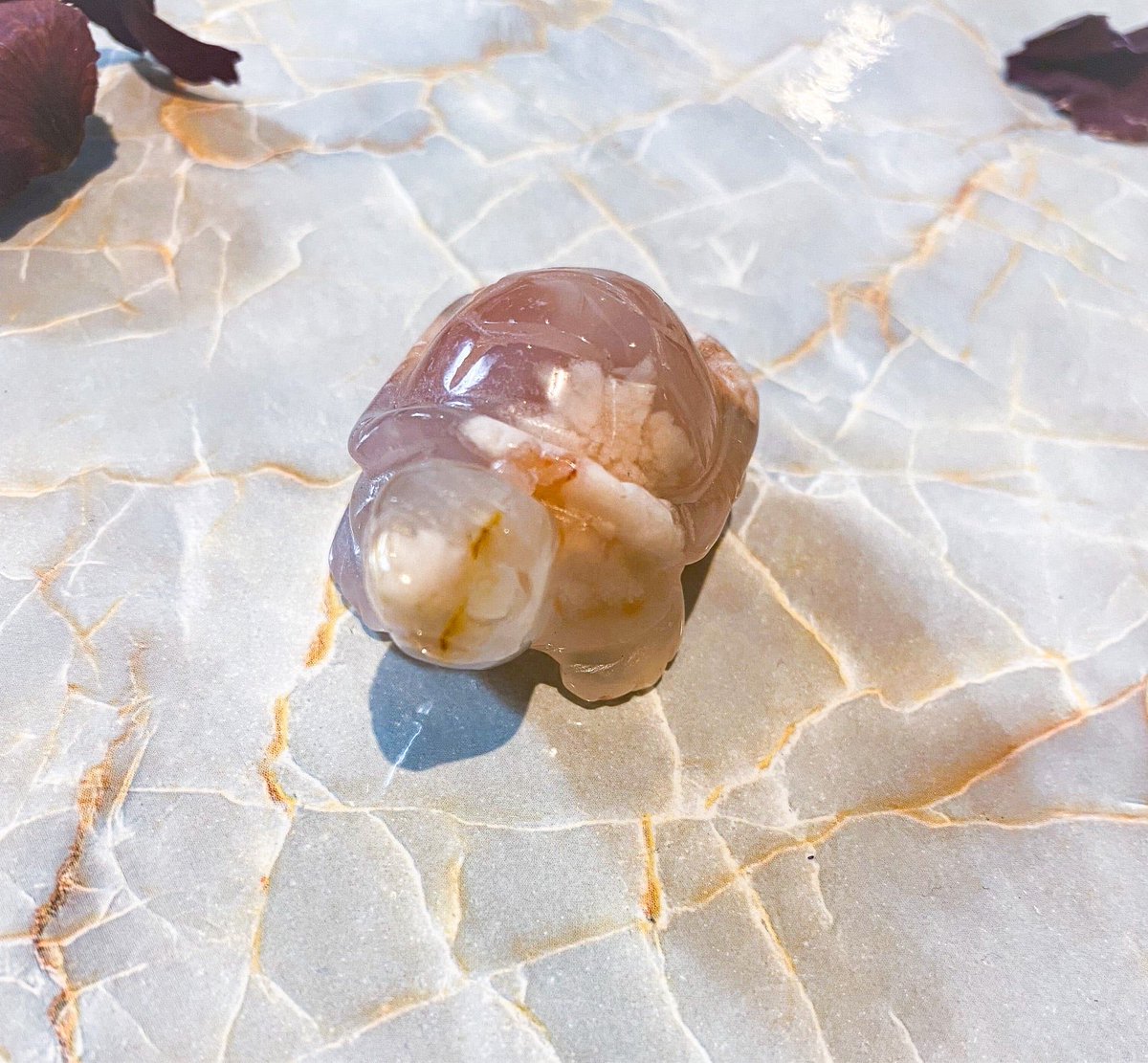 sailorstarstore's tweet photo. Babes if you’ve been wanting a turtle now is the time. Only 3 left in stock ✨ https://t.co/DjCyOxShmQ