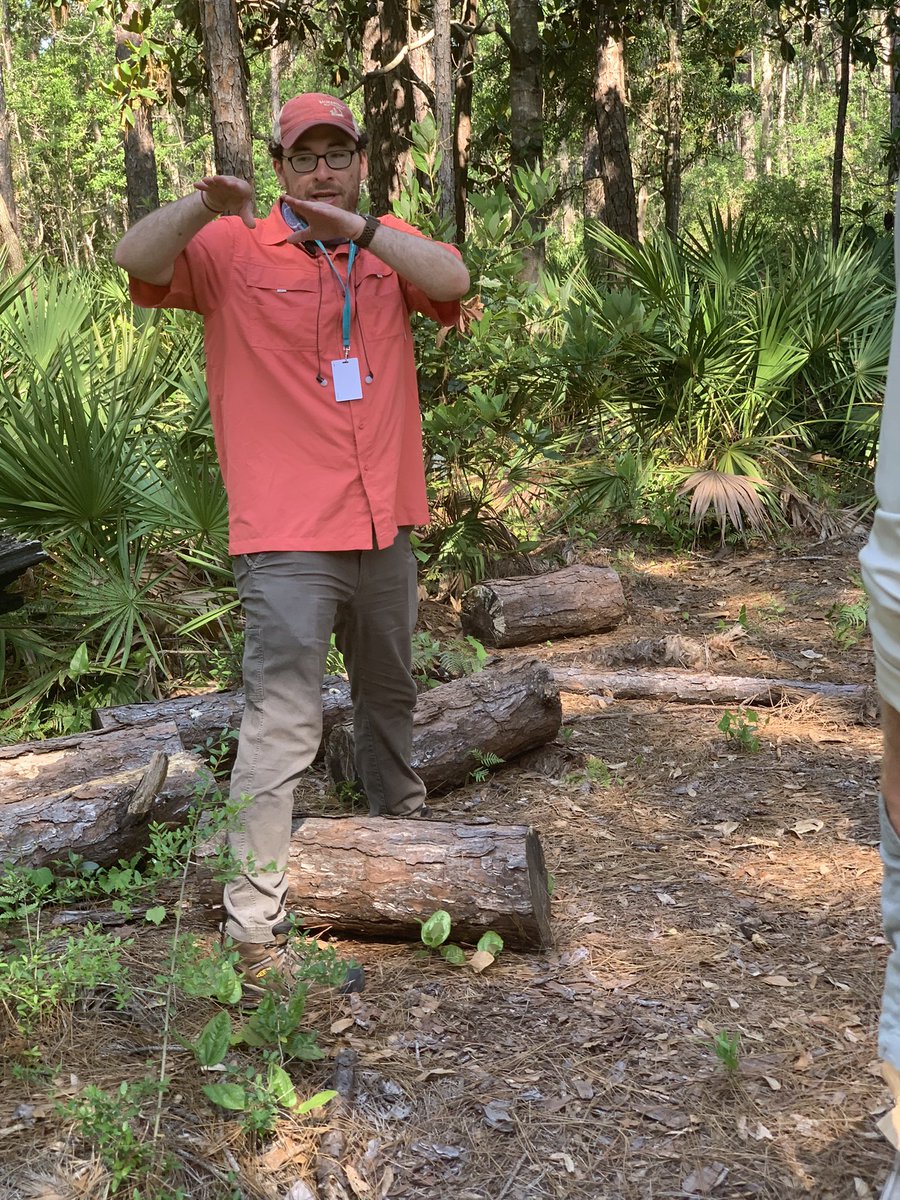 PaleoTotten's tweet photo. @prehistormic is teaching Hurricane class @DISLFoundation … we are all pining for tree cores now! @palmsarenttrees @AsmaraLehrmann @DrEmilyAElliott #PithedOnTheFirstTry #Paleotempestology Put #TreePuns in the comments, y’all! https://t.co/RAvw3R3uCc