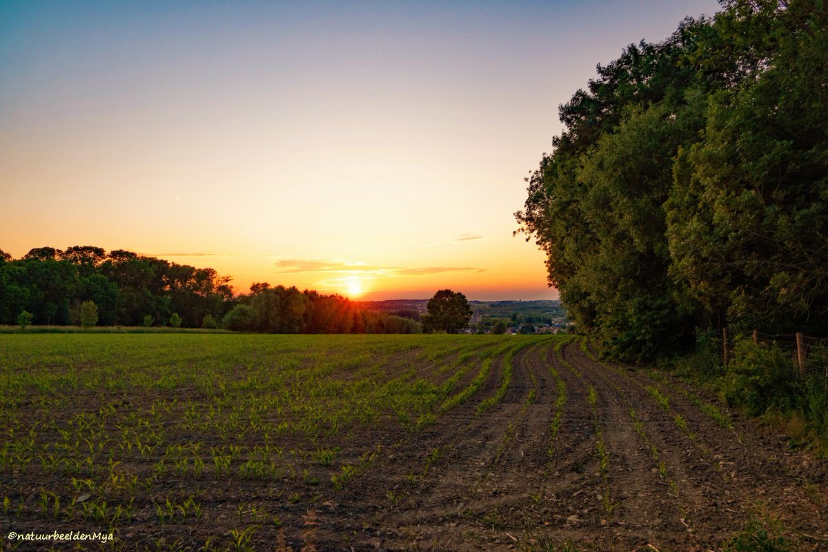 NatbeeldenMya's tweet photo. #vrtweer Ename zonsondergang 02/06/2022
@MeteovistaBe @MijnNatuurpunt @weerbord
#weerfoto #weerbericht #Ename #zonsondergang 
@MeteovistaBe @meteobenl @Weerbord
@stadoudenaarde @VlaamseArdennen https://t.co/RCTXnBmHLk