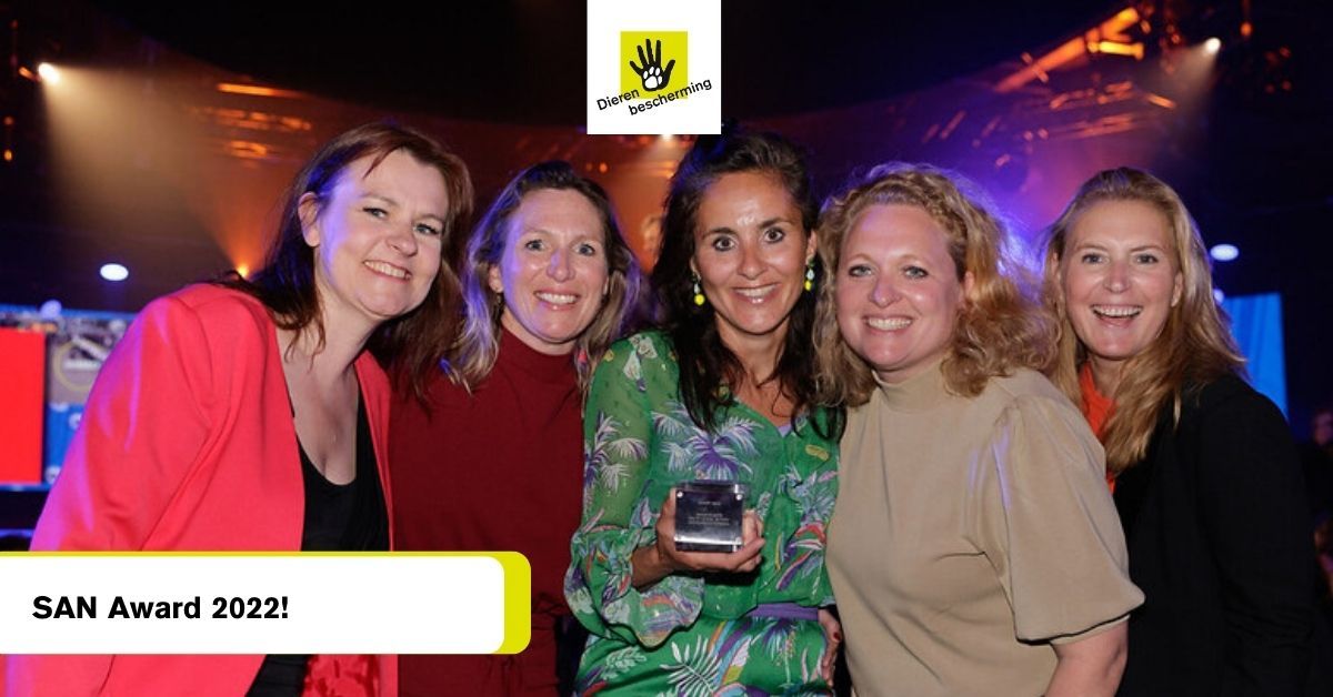 Dierbescherming's tweet photo. Wat een eer, we hebben een SAN Award gewonnen voor onze Beter Leven keurmerk campagne! Trots! #here #zigt https://t.co/t4AnhZZXBq