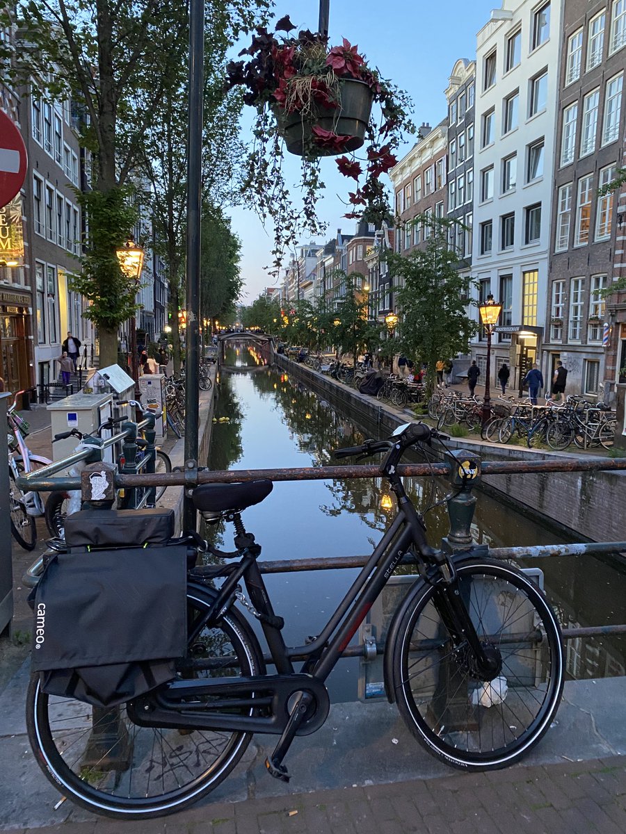 AngeloRandisi tweet media