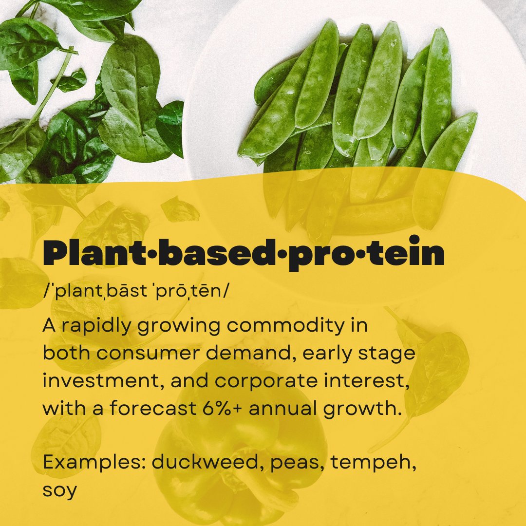 In the GroundBreakers Innovation Scouting database, we found over 200 Innovators in 28 countries addressing this opportunity. 

Learn more: theyieldlabinstitute.org/groundbreakers