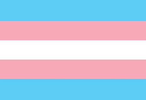 ToastTheToasted's tweet photo. Rt if you say Trans Right are Human Rights. https://t.co/bgs9Gsek1a