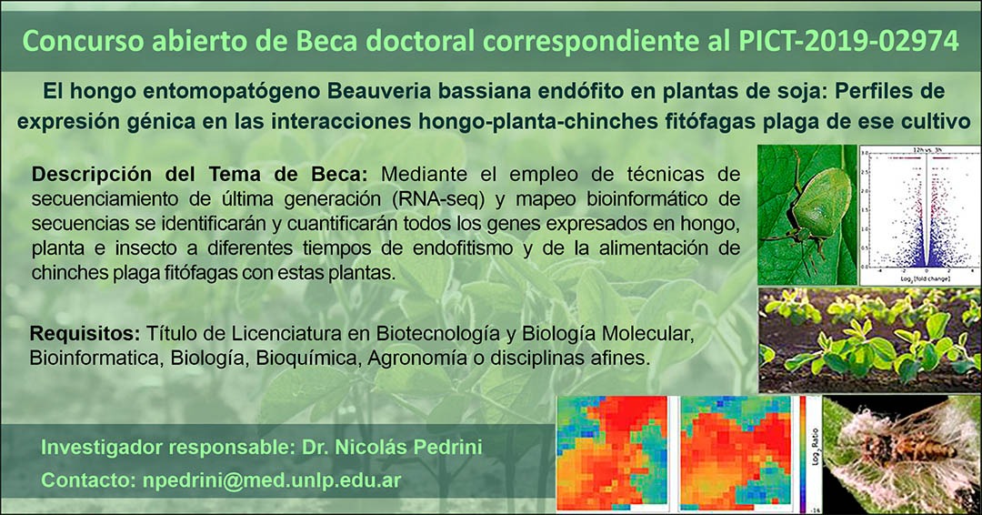 INIBIOLP tweet media