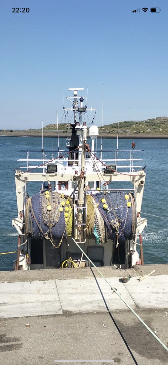 Albert Hartman tweet media