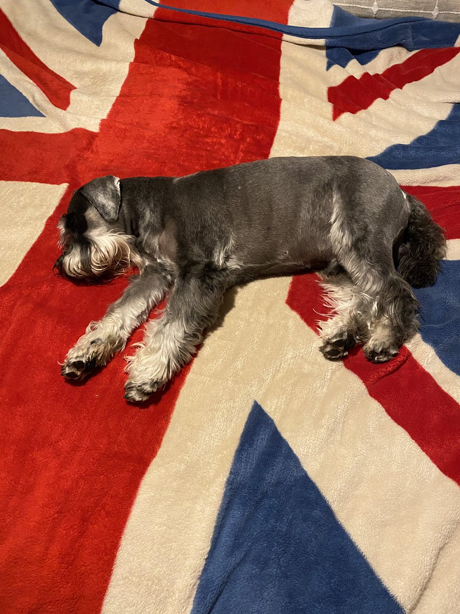 Think Buster is done with the jubilee weekend 😴😴😴😴