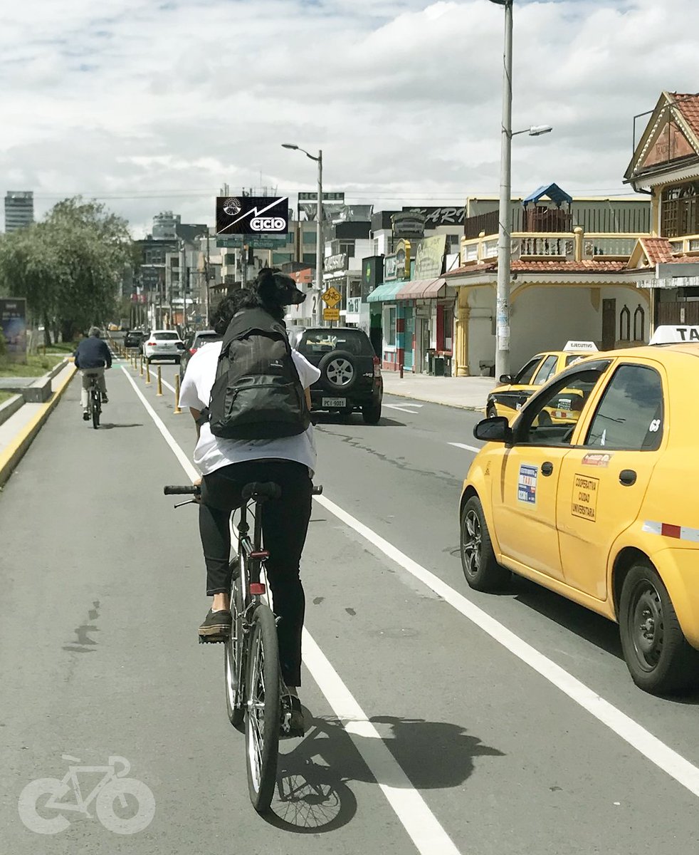 ciclostore593's tweet photo. ¡Feliz #DiaMundialDeLaBicicleta!
Por más infraestructura segura, políticas públicas claras y una ciudad llena de gente pedaleando, patinando o caminando.

¡Festéjalo rodando y compártenos tus fotos!
#VamosContigo
#CicloStore593 https://t.co/ux9lF7lcPx