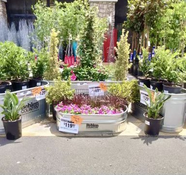 jamie_SM6947's tweet image. 1842 is ready for a busy weekend!!! Live goods refresh! Having some fun with these displays !!! #getcreative #livegoods #wateringinplace #gatesareopen #sellsellsell #GREATJOB #PACNORTHPROUD #THEBANK
