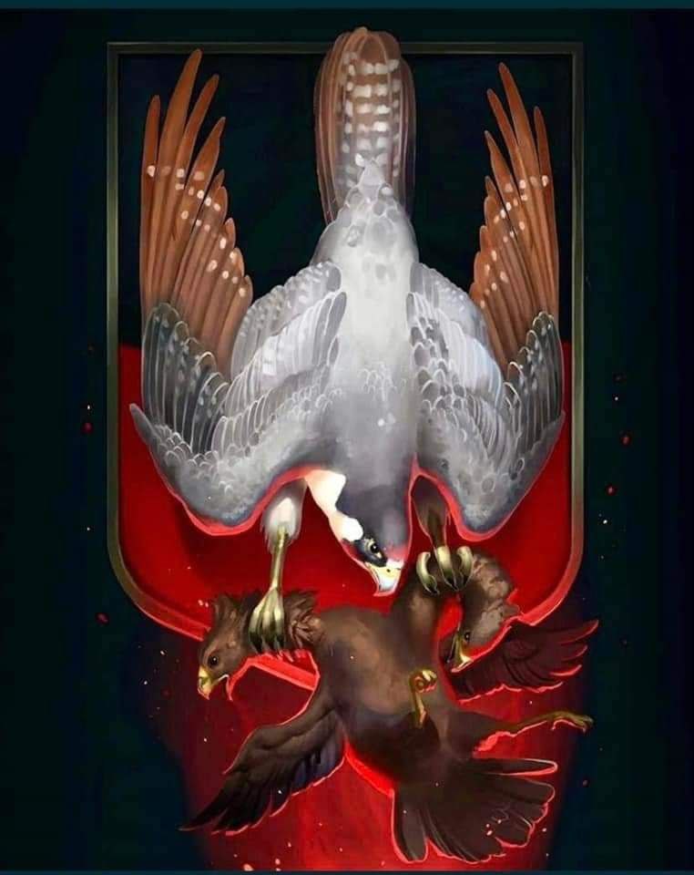 100 dní odporu proti ruské agresí. 
Sláva Ukrajině!