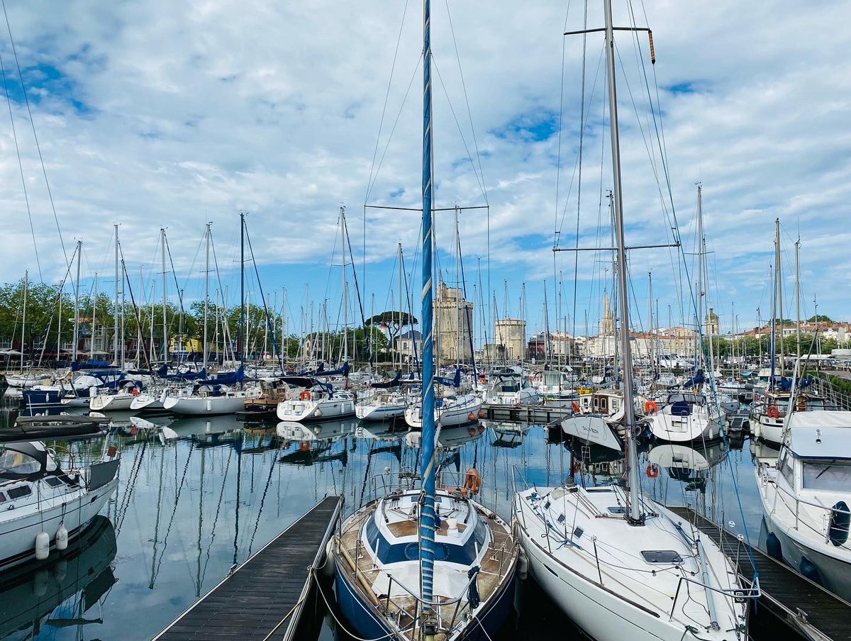 SOuezman tweet media